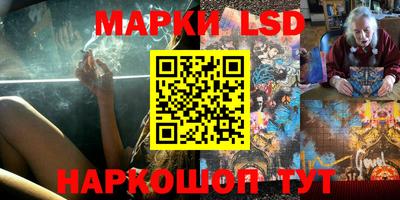 шишки Лесосибирск