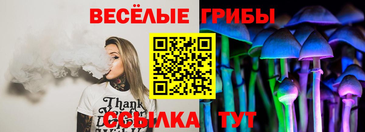 Псилоцибиновые грибы ЛСД  Галлюциногенные грибы MAGIC MUSHROOMS  Александров  купить наркотик  Вход с VPN 